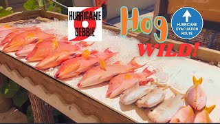 Hog Wild with Hurricane Debbie [upl. by Yliak]