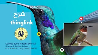 thinglink شرح [upl. by Chappie]