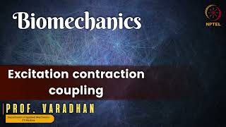 Excitation contraction coupling [upl. by Emmy]