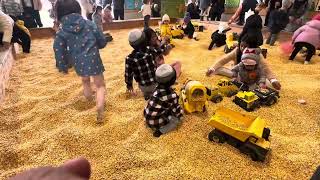 Downey’s pumpkin farm corn pit [upl. by Dobson]