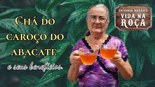 Como preparar o chá do caroço do abacate e seus inúmeros benefícios [upl. by Nagam210]