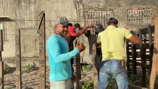 Impressionante como esse Doco só foi para atrapalhar a reforma da pista vaqueiro vaquejada boi [upl. by Sucramad]