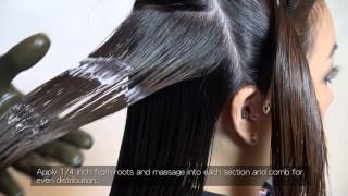 Brazilian Keratin Application Process FULL Version [upl. by Vitus]