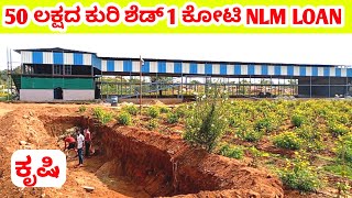 1 ಕೋಟಿ nlm ಸಾಲ  500 ಕುರಿ ಶೆಡ್ ನಿರ್ಮಾಣ  nlmschemeinkannada nlmloanscheme sheepfarming [upl. by Buskus]