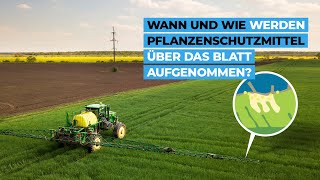 Wann und wie werden Pflanzenschutzmittel über das Blatt aufgenommen [upl. by Ynneh]