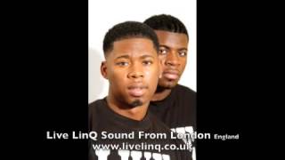 Live LinQ New DanceHall Summer Party Mix 2013 [upl. by Suoinuj]