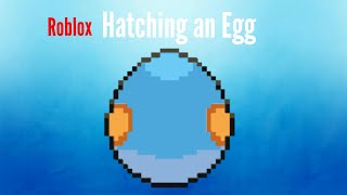 Pokemon Brick Bronze  Hatching A Mudkip Egg [upl. by Calandra]