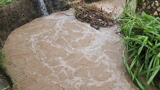 flooding in Portland Jamaica [upl. by Che]