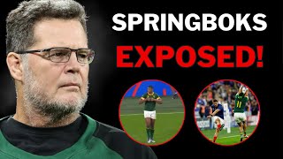 Genius Behind Springboks EXPOSED  Chasing the Sun EP3 Review [upl. by Eimorej]