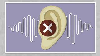 Noise Induced Hearing Loss [upl. by Huxham]