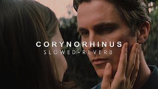 Batman Begins  Corynorhinus Slowed  Reverb [upl. by Rozek]