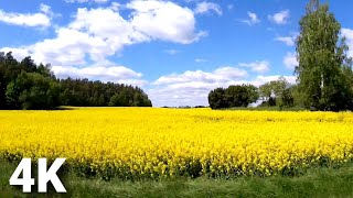 4k Drive Through Swedish Countryside Hallstahammar To Västerås Sweden [upl. by Ajiak]