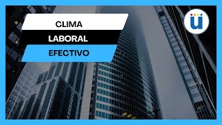 Clima Laboral Efectivo [upl. by Triley]