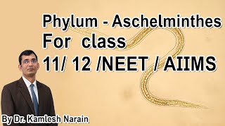 Phylum  Aschelminthes  Nemathelminthes  Nematoda class 11 12 NEET  AIIMS By DR KAMLESH NARAIN [upl. by Arorua]