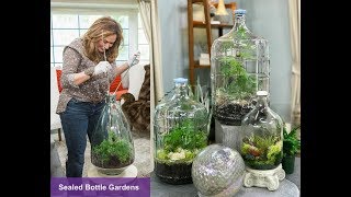 CLOSED TERRARIUM DIY  SEALED BOTTLE GARDENS 🌱 Closed Terrarium Plants 🌿Shirley Bovshow [upl. by Etnemelc]