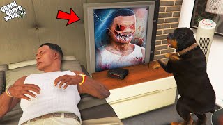 Chop Found Secret Mirror Inside Franklins Room In Gta 5 [upl. by Allicerp]