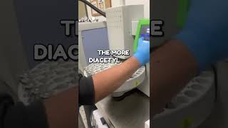 Diacetyl Testing w White Labs Analytical Lab [upl. by Alyel]