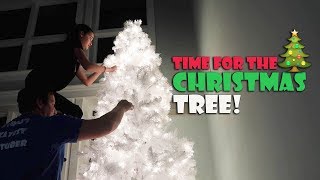 Time for the Christmas Tree 🎄 WK 3604  Bratayley [upl. by Gusba]