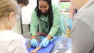 Squid dissection brings reading unit to life [upl. by Goodkin]