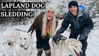 EXTREME Dog Sledding in Rovaniemi Lapland Finland [upl. by Jeno]