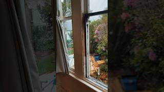 How to replace the ropes in double hung sash windows villarepairs nzbuilder [upl. by Nede]