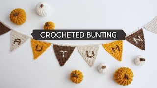 DIY Crocheted Bunting with CrossStitch Letters [upl. by Saffian]