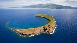 Molokini Crater Maui Hawaii Snorkel [upl. by Milford]