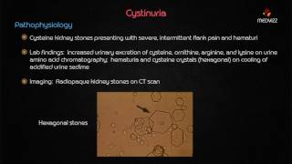 Cystinuria  Usmle step 1 Biochemstry webinar based lecture [upl. by Clerissa]