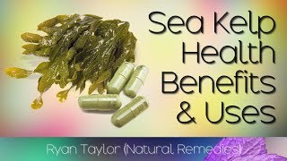 Sea Kelp Benefits and Uses [upl. by Aufa]