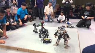 Korea International Robot Contest 2014  Rumble [upl. by Barnard453]