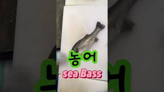 농어 회뜨기sea bass sashimi shorts [upl. by Sheila]