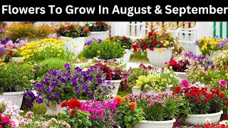 Flowers To Grow In August and September  Flowers to plant in August and September [upl. by Madora]