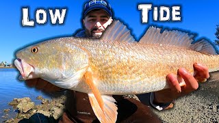 Fishing an Extreme Low Tide Galveston Texas [upl. by Phalan]