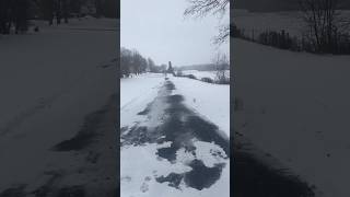 Winter walk on my driveway enjoying the snowy day ￼￼￼ [upl. by Llertnauq]