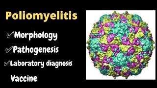 poliomyelitis  polio virus  polio [upl. by Emlynn]