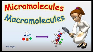 Micromolecules And Macromolecules Updated [upl. by Goldwin]