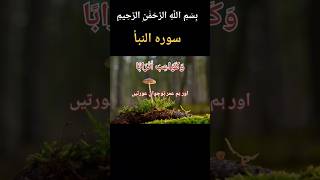 BAST VOICE TILAWAT QURAN URDUJUST ONLY URDU TRANSLATION WITH TEXT HD FATEH MUHAMMED JALANDRI [upl. by Oiramed]