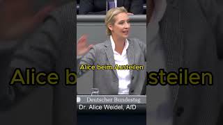 Endlich eine Kanzlerin mit Temperament aliceweidel [upl. by Anafetse569]