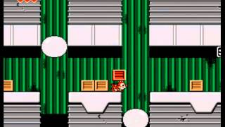 Test Chip and Dale Nes [upl. by Vi]