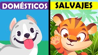 ANIMALES DOMESTICOS y SALVAJES para niños  🐶 RESUMEN 🐍 [upl. by Bram]