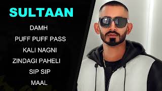 Sultaan All Songs Best Of Sultan Hits New Punjabi Song  Sultaan New Song Damh lalkara Hustle Jatt [upl. by Bettzel]