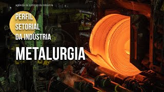 Conheça o setor de metalurgia  2024 [upl. by Cormick108]