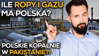 Ile ROPY i GAZU ma POLSKA Jak i Skąd je WYDOBYWAMY BizON [upl. by Yrreiht]