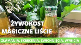 Żywokost magiczne liście Złamania skręcenia zwichnięcia obtłuczenia wybicia stawów itd [upl. by Clarinda]