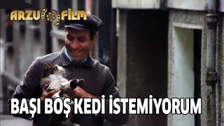 Çöpçüler Kralı  Başı Boş Kedi İstemiyorum [upl. by Oicafinob]