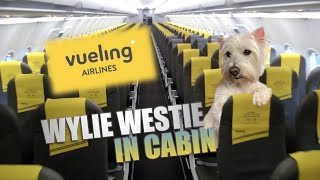 HOW TO ADD A PET DOG IN CABIN WITH VUELING ONLINE [upl. by Chandal]