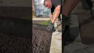 £800 turfing turf soil grass patio [upl. by Lise]