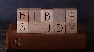 Bible Study 8th October 2024  Rev David Priestly [upl. by Lymn]