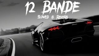 12 Bande Slowed amp reverb   varinder Brar [upl. by Anaes]