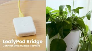 LeafyPod AIpowered selfwatering smart planter [upl. by Concha]